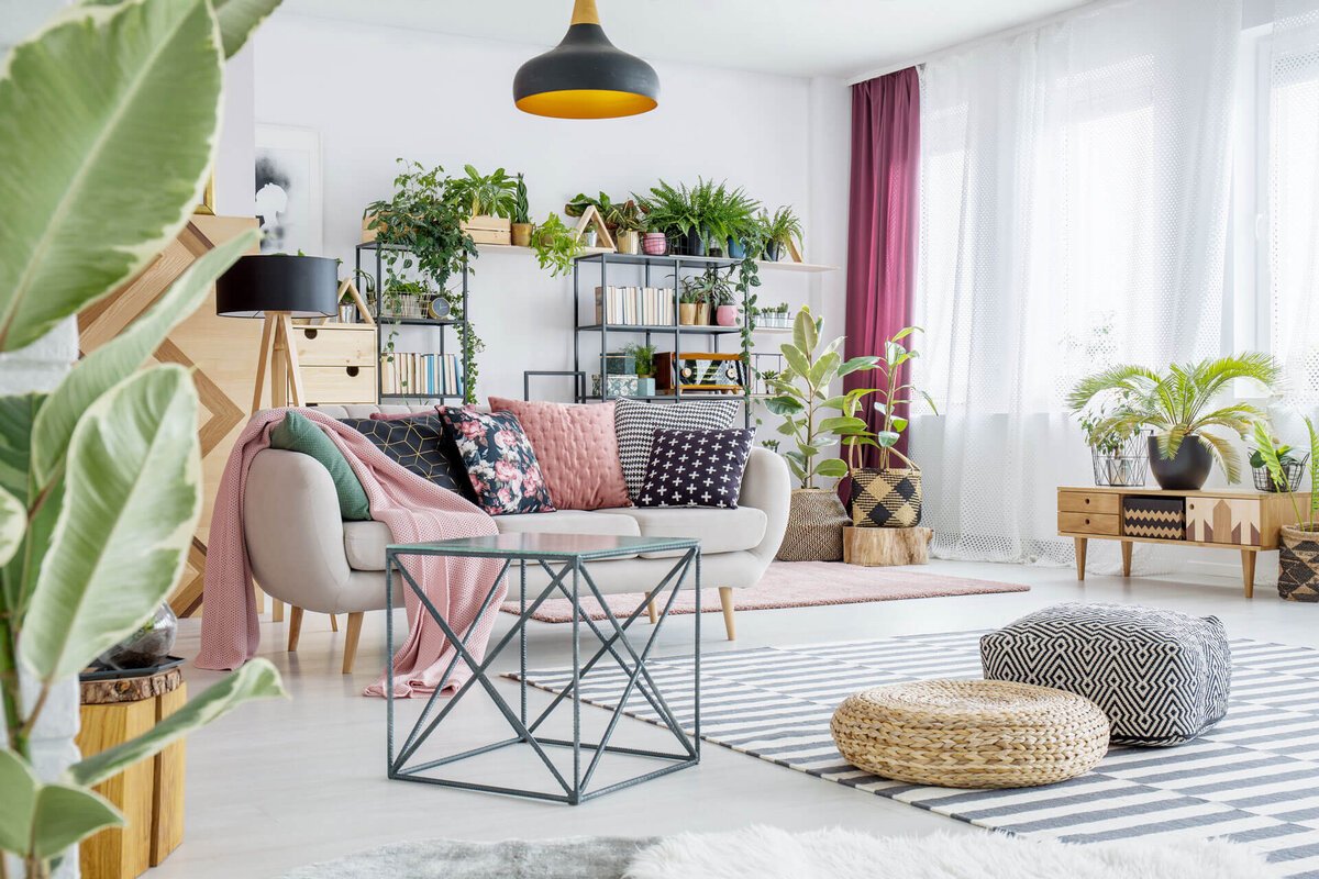 Aer plante