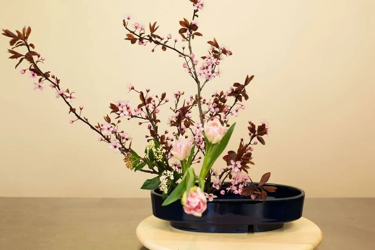 Redescoperă frumusețea simplității!
În Japonia, ikebana a transformat aranjarea florilor într-o artă care celebrează natura și liniștea interioară. În România, această tradiție, odată plină de semnificații, s-a pierdut, dar poate fi reînviată cu inspirație din modelul japonez. Cu flori locale și un strop de creativitate, putem aduce armonie și frumusețe în casele noastre. Încearcă să creezi un aranjament floral simplu și descoperă bucuria acestei practici uitate! Ești gata să reînvii o tradiție care conectează trecutul românesc cu viitorul?