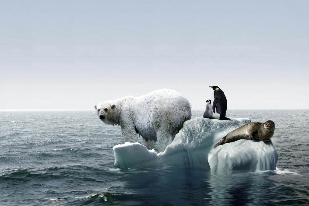 Încălzirea globală este reală? Ce spun noile date meteorologice