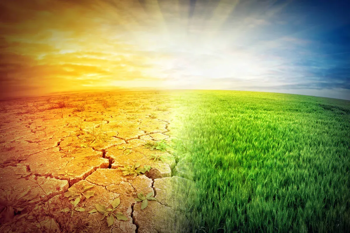 Încălzirea globală este reală? Ce spun noile date meteorologice