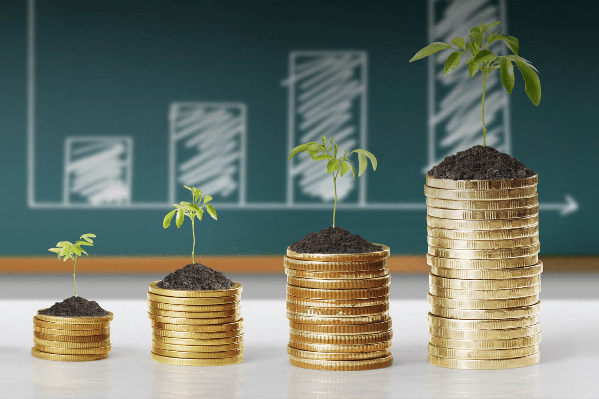 Un singur obicei care îți crește venitul în 6 luni: Investește în tine zilnic