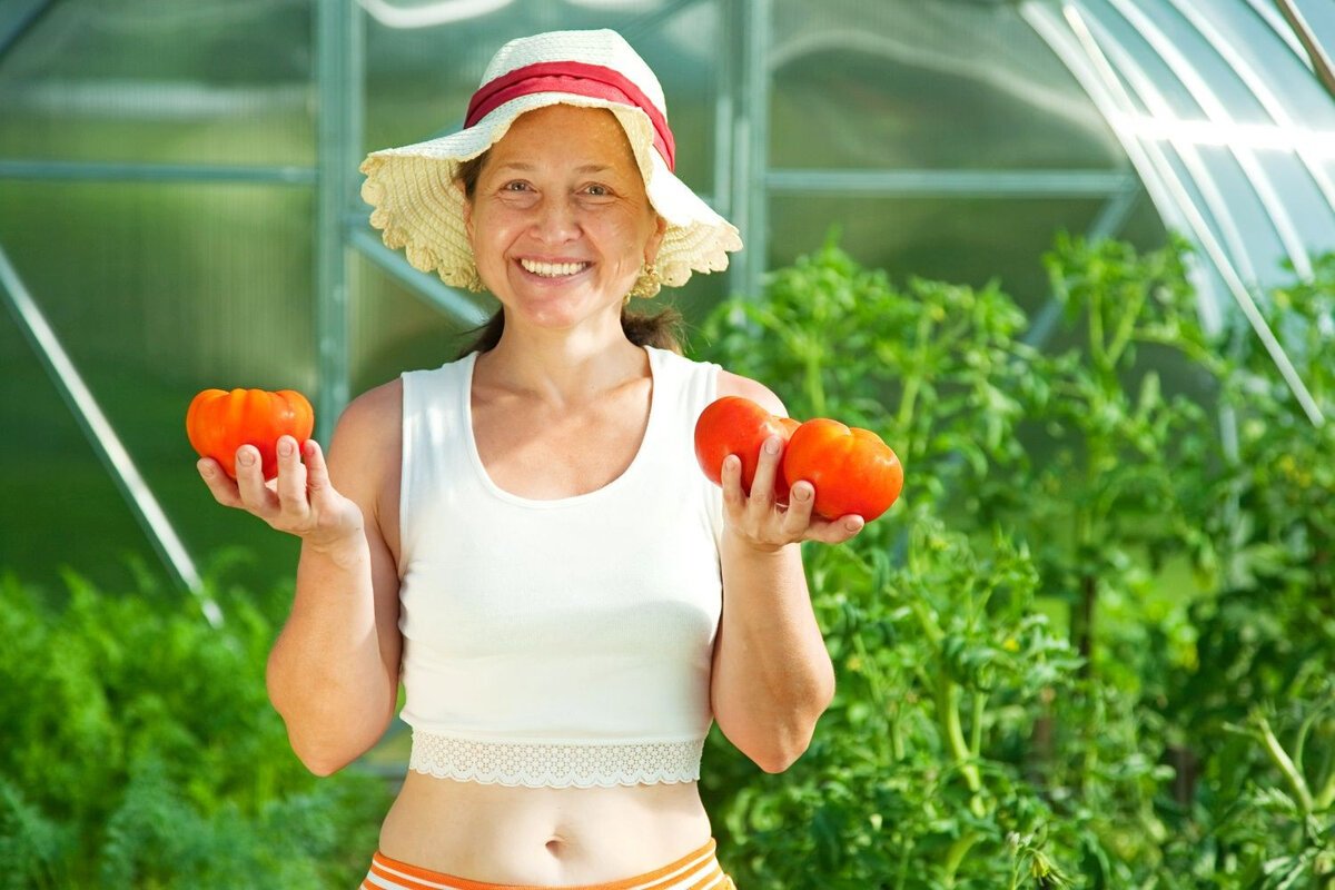 Ce trebuie să plantezi lângă roșii ca să ai o recoltă dublă