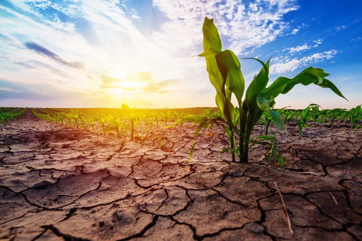 Schimbările climatice deja îți afectează casa — iată cum