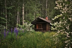 Schimbările climatice deja îți afectează casa — iată cum