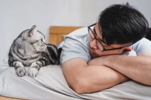 De ce miaună pisica la ușă: Semn ignorat de stăpâni