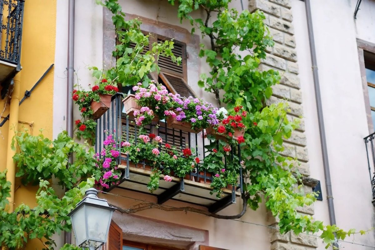 Umbră și fațadă: cum decorează plantele balconul