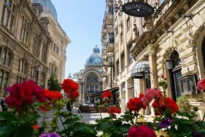De ce copacii din București își pierd frunzele vara? Anomalie sau noua climă? Oamenii de știință trag un semnal de alarmă