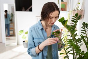 Spray din coajă de banană: Rețeta de pe TikTok pentru un fertilizant natural