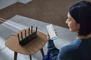 VPN pe router