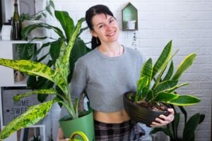 Dormitor-grădină: plante pentru un somn sănătos