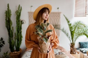 Cum să „vorbești” cu ficusul tău – și el îți va răspunde