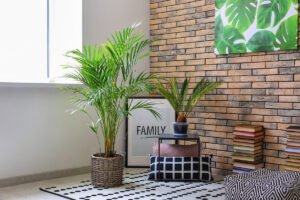 Vedere și frunze: plantele care ajută ochii