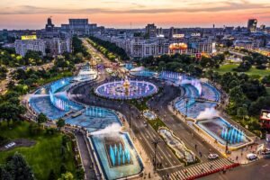 De ce fagii din București își pierd frunzele vara: motive climatice și nu numai