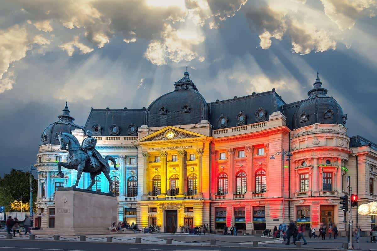 De ce fagii din București își pierd frunzele vara: motive climatice și nu numai