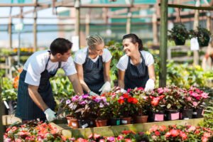 Drumul rapid către succes cu Garden Construct în 2025