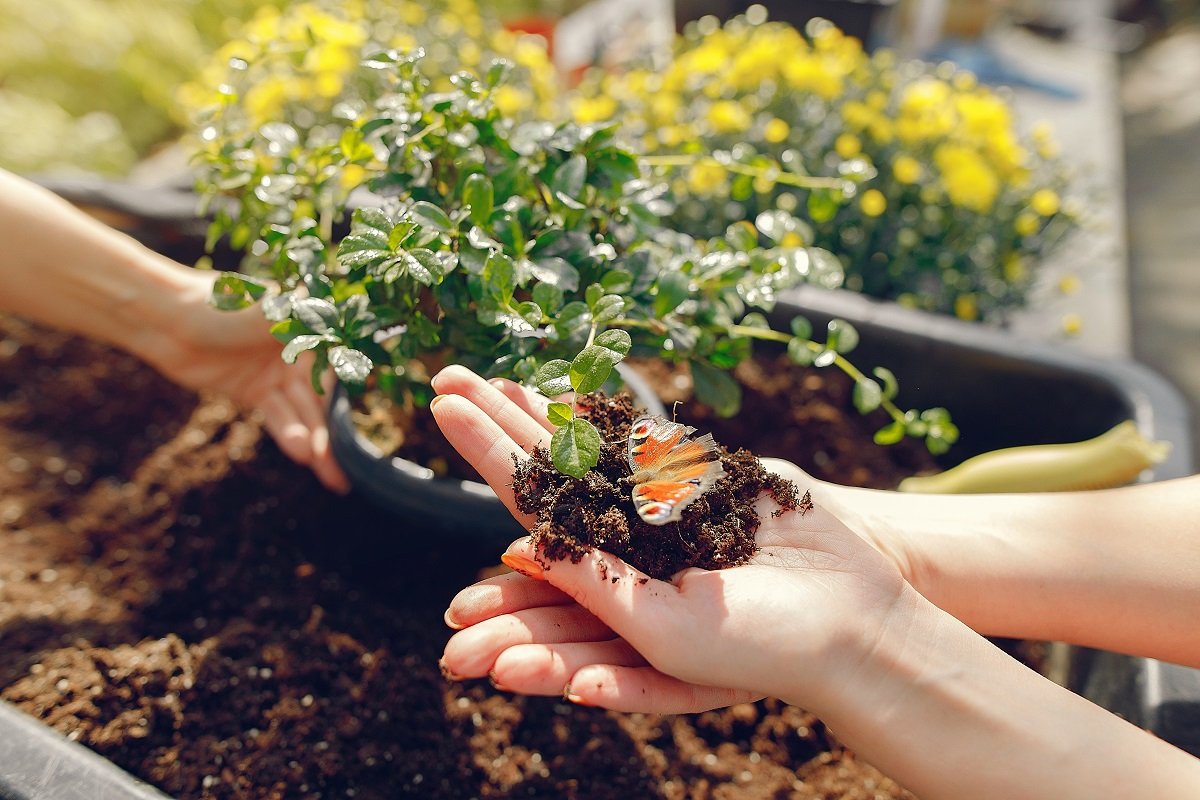 Drumul rapid către succes cu Garden Construct în 2025