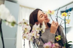O linguriță de miere în apă și ghivecele tale prind viață sub ochii tăi!