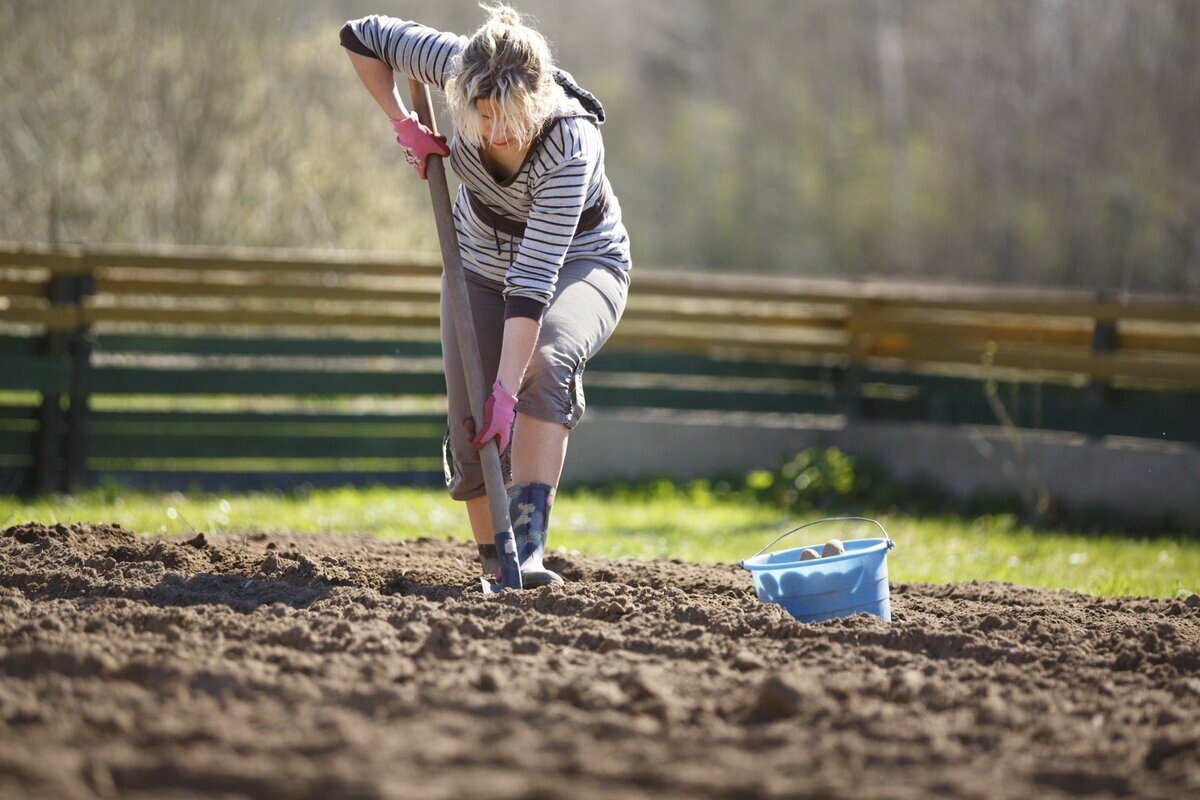 Grădină cardio: sport în stilul grădinarului