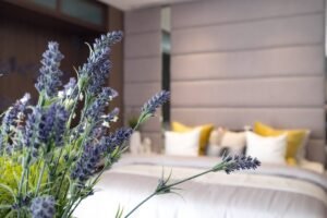 Ce miros inspiră încredere străinilor: Secretul subtil al parfumului