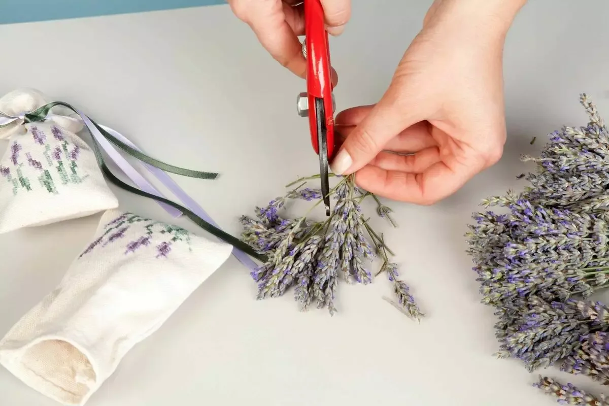 Lavandă în dulap: parfum de vară tot anul