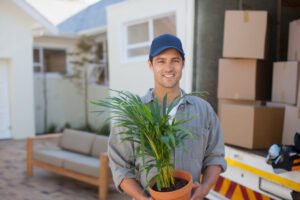 Livrarea plantelor: Cum să eviți eșecurile în 2025
