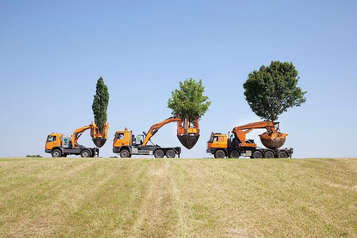Livrarea plantelor: Cum să eviți eșecurile în 2025