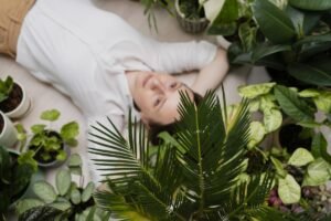 Microclimat sub ferestre: ce să plantezi pe partea de nord