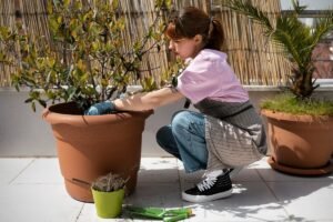 Semne că planta ta are nevoie de un ghiveci mai mare