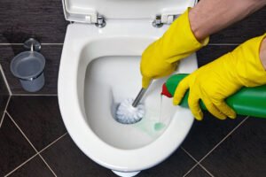 Cum să scapi de mirosul din toaletă fără odorizant