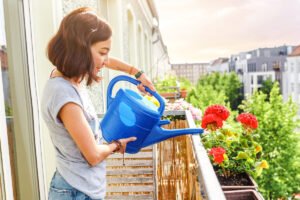 De ce nu ar trebui să udăm plantele ziua: lecții de la grădinarii români