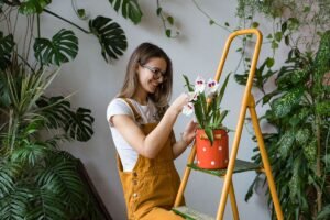 Cum să uzi plantele de interior în București: Secrete de la experți