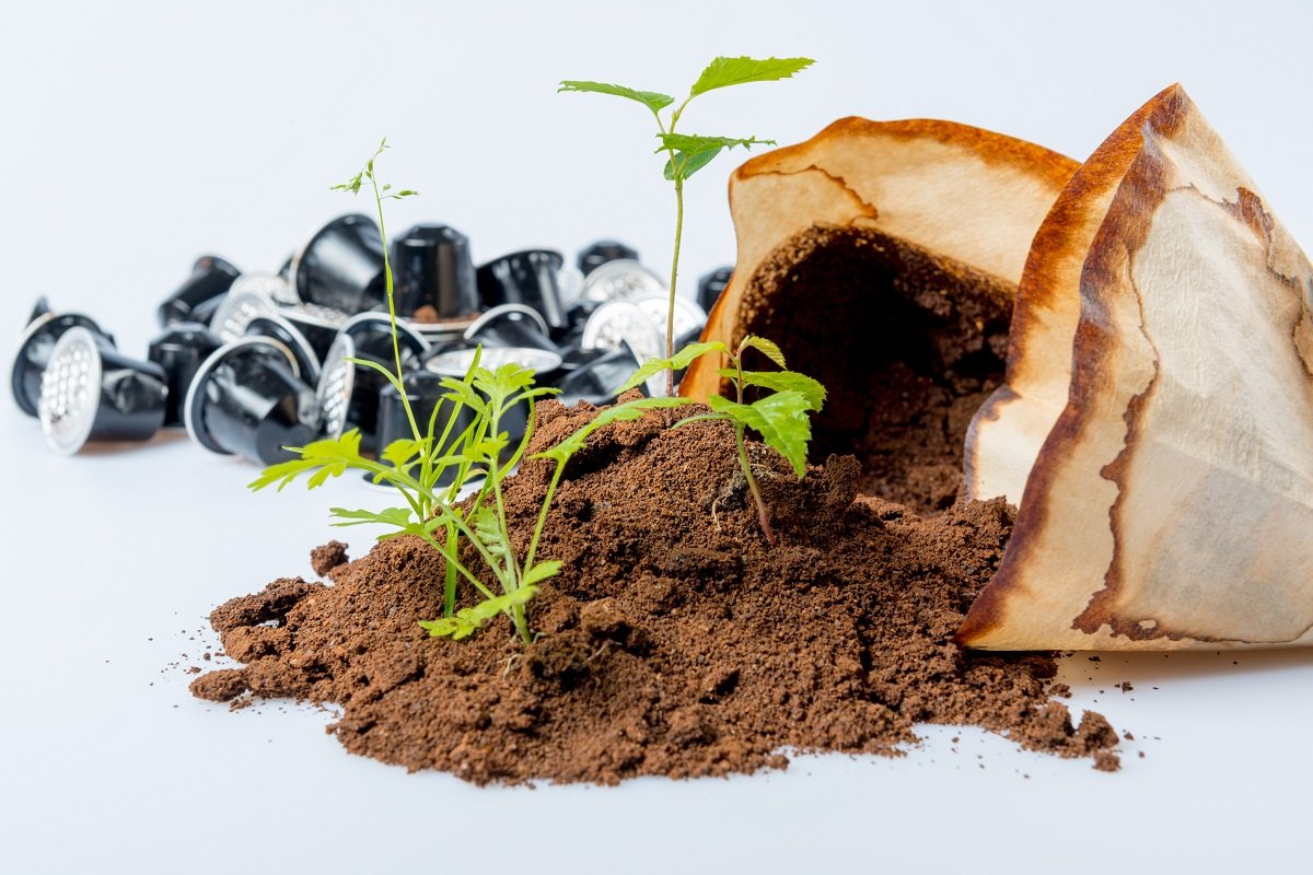Cum să faci plantele să crească mai repede cu o lingură de zaț