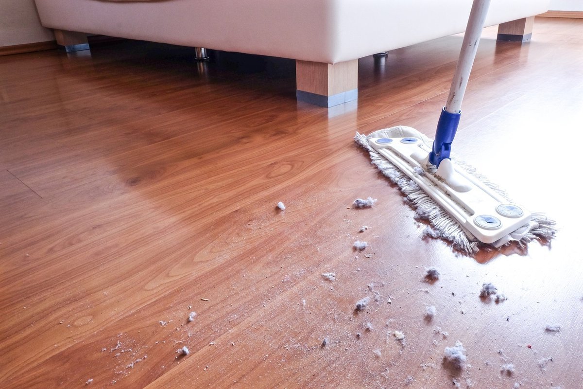 De ce praful se așază mai repede după spălarea podelelor: Greșeala care creează un efect „magnetic”