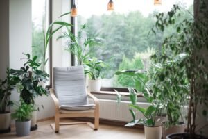 Plante separatoare în sufragerie