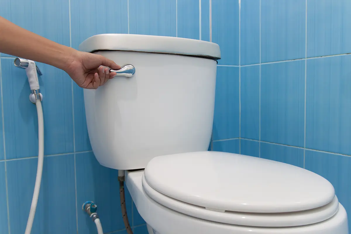 De ce trebuie închis capacul toaletei înainte de a trage apa? Răspunsul vine din studiile microbiologilor
