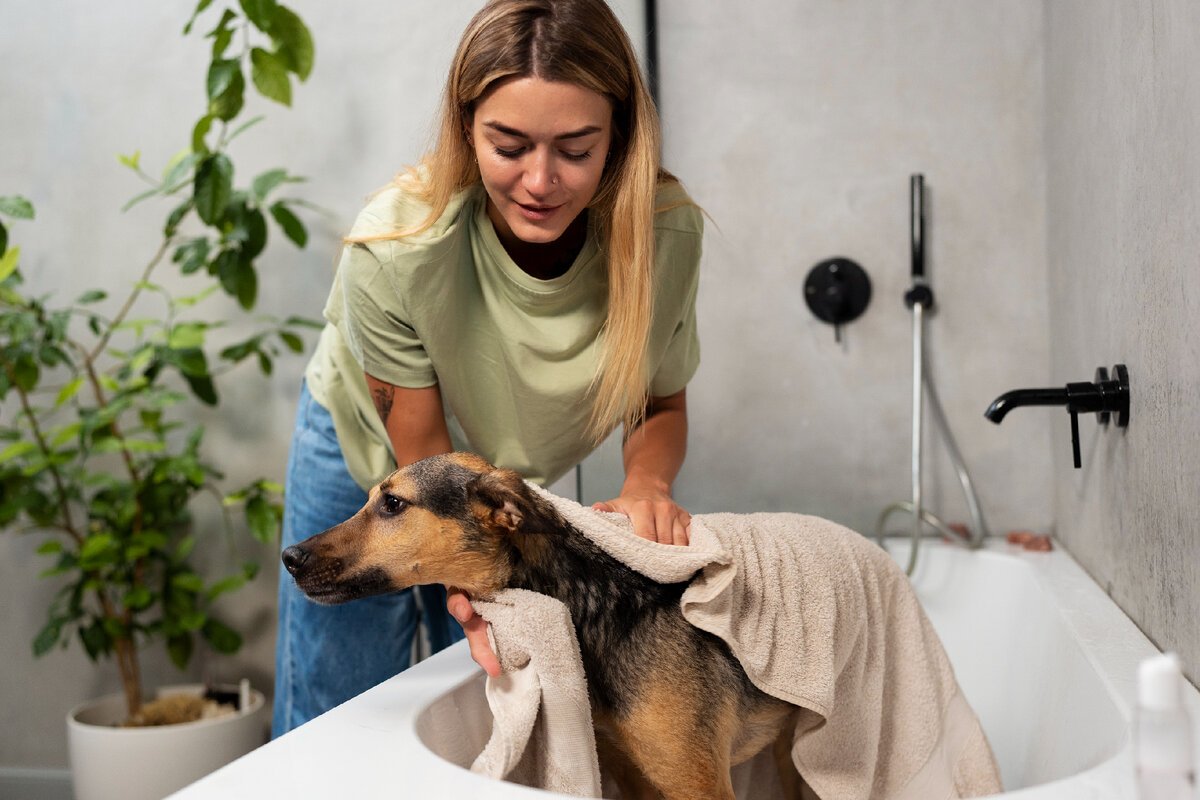 De ce nu trebuie să speli câinele prea des: avertismentul dermatologilor veterinari