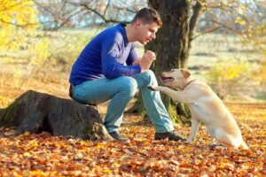 Cum să înțelegi că câinelui tău îi este dor de tine când nu ești acasă