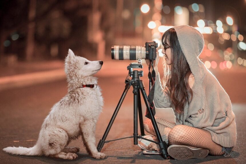 Discover