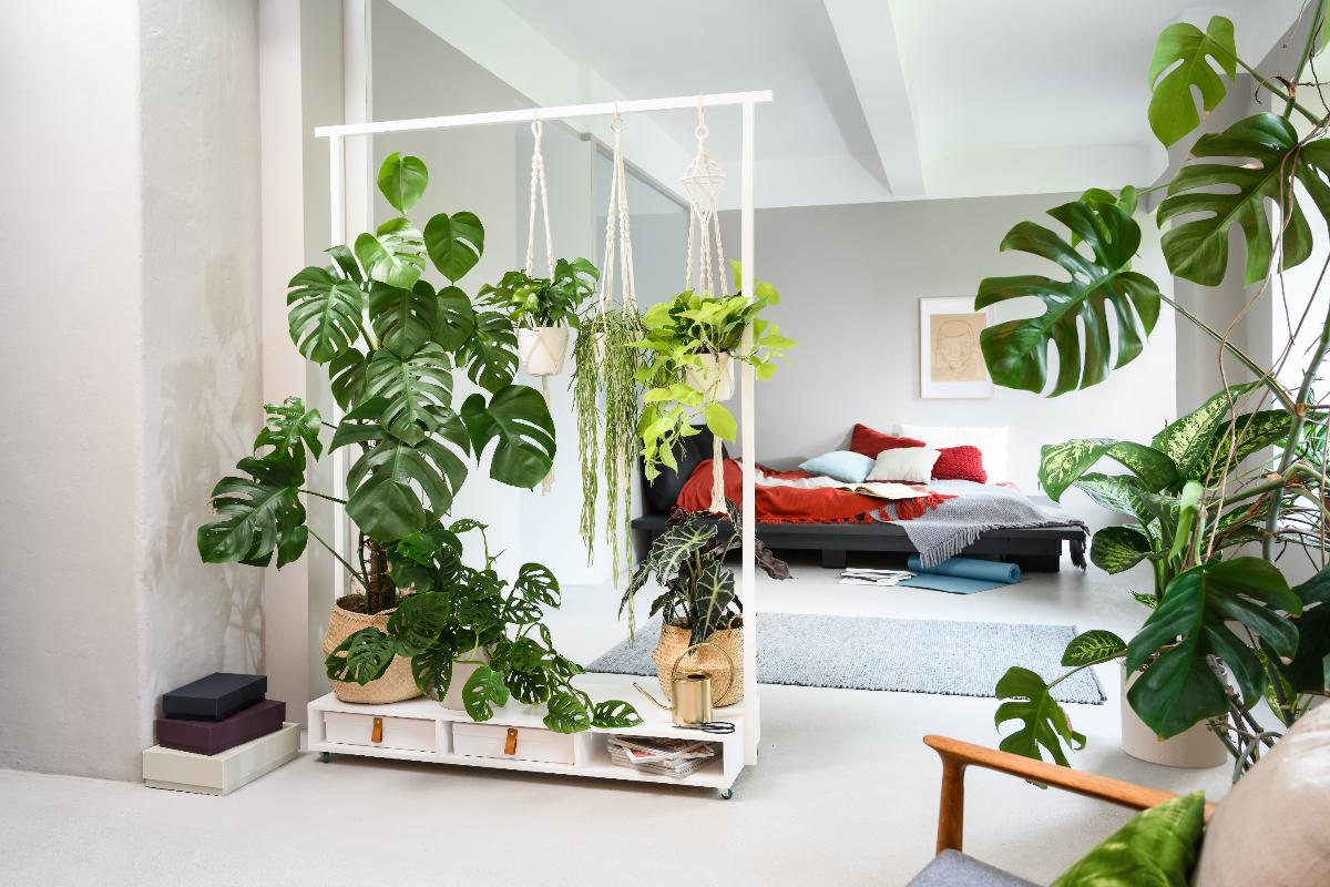 apartament