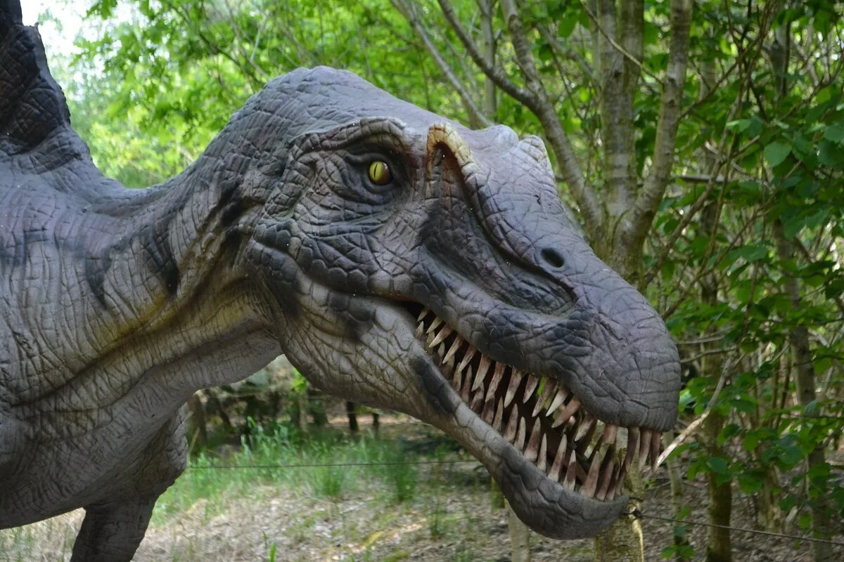 Dacă ai mânca un dinozaur azi, ai simți gust de pui, curcan sau crocodil – paleontologul a dat verdictul final