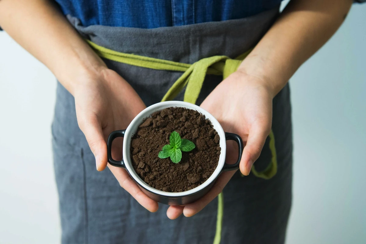 Îngrășământul natural din resturi de bucătărie care face plantele să explodeze de viață – 5 rețete gratuite care costă 0 lei și înlocuiesc chimicalele scumpe