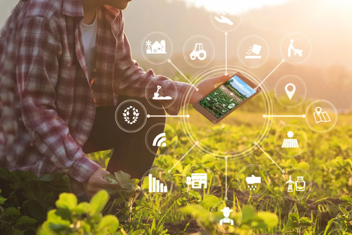 Aplicația care transformă pozele cu plantele în cel mai bun grădinar personal – tehnologia care face verdeața să înflorească fără efort