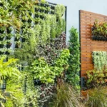 De ce tot mai mulți ruumeni aleg grădini verticale — și cum să începi cu 1 m²